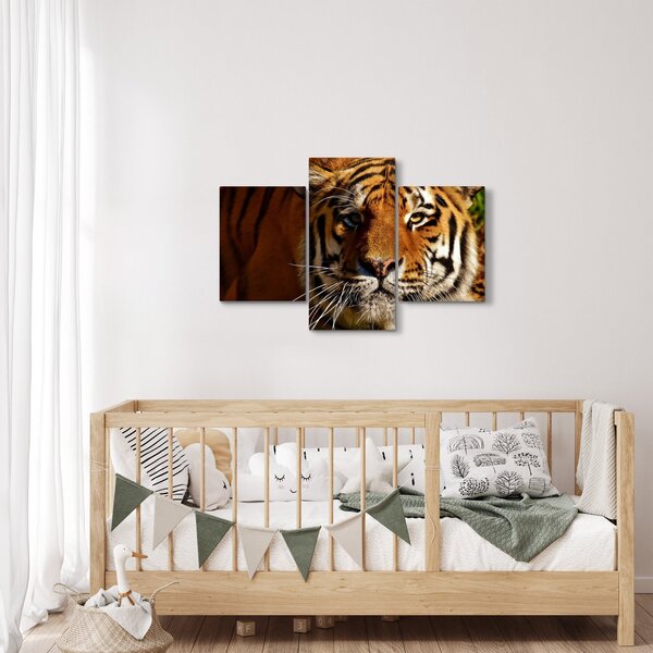 Tigris képe (90x60 cm)
