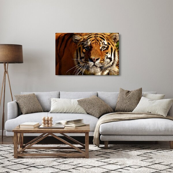 Tigris képe (90x60 cm)