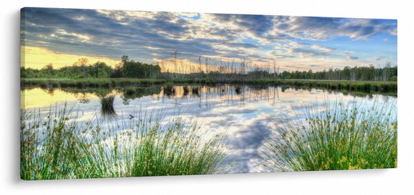 A tó és a nád képe (120x50 cm)