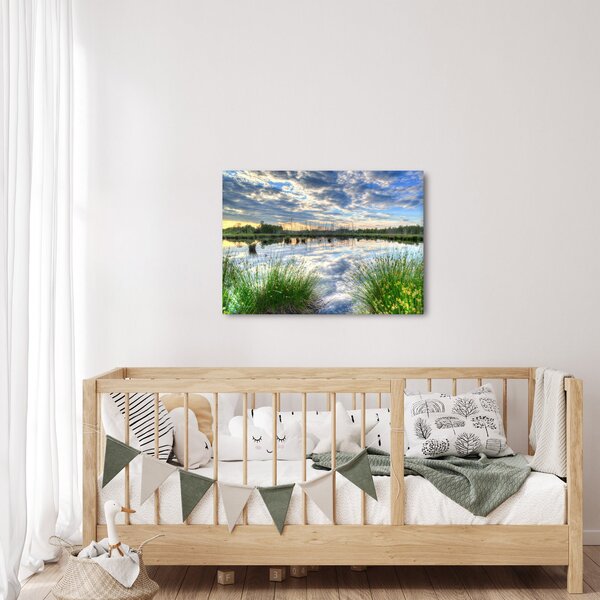 A tó és a nád képe (70x50 cm)