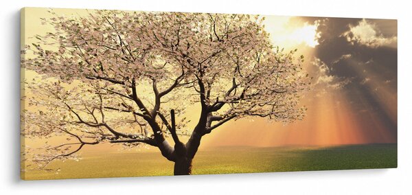 Fa képe a réten (120x50 cm)