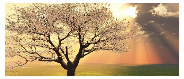 Fa képe a réten (120x50 cm)