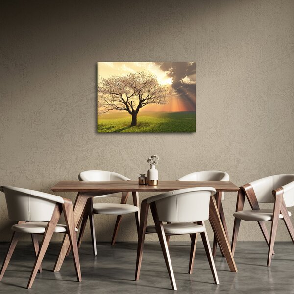 Fa képe a réten (70x50 cm)