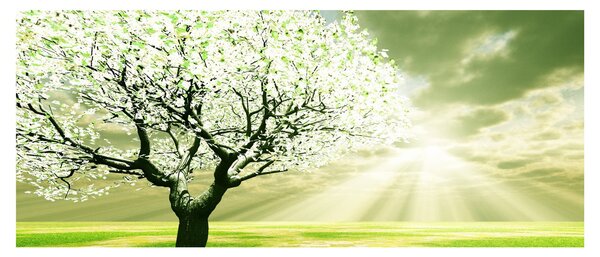 Fa képe a réten (120x50 cm)
