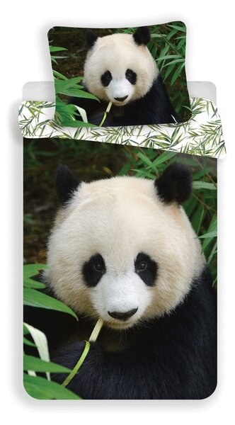 Egyszemélyes pamut gyerek ágyneműhuzat 140x200 cm Panda – Jerry Fabrics