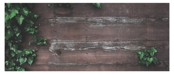 Kép - Borostyán (120x50 cm)