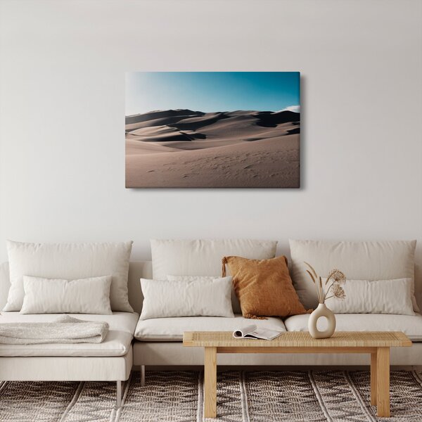 Kép - A sivatagból (90x60 cm)