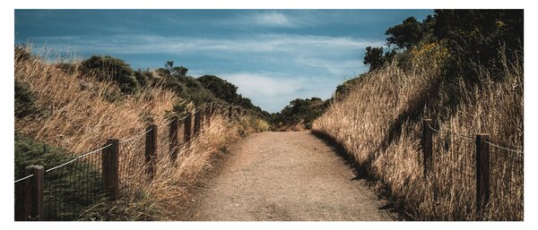 Kép - A járdán (120x50 cm)