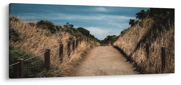 Kép - A járdán (120x50 cm)