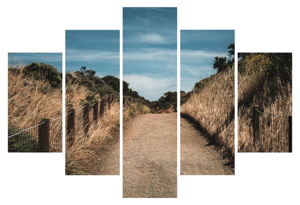 Kép - A járdán (150x105 cm)
