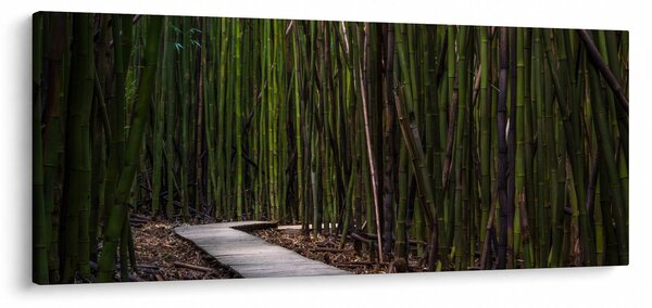 Kép - A bambuszok között (120x50 cm)