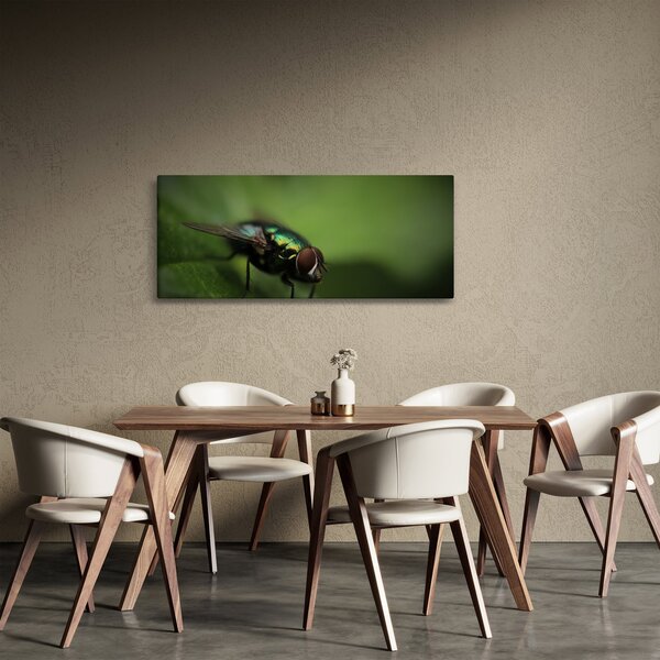 Kép - Légy (120x50 cm)