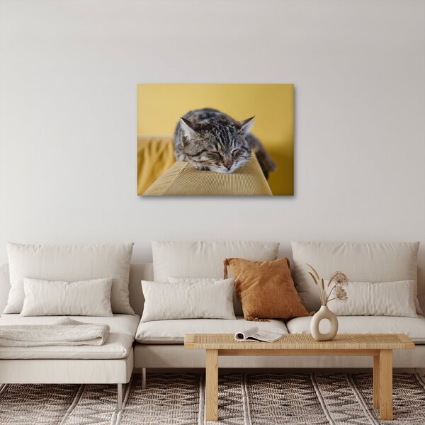 Macska a kanapén képe (70x50 cm)