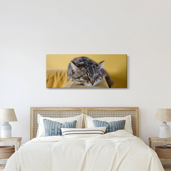 Macska a kanapén képe (120x50 cm)