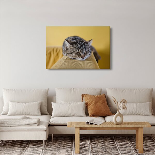 Macska a kanapén képe (90x60 cm)