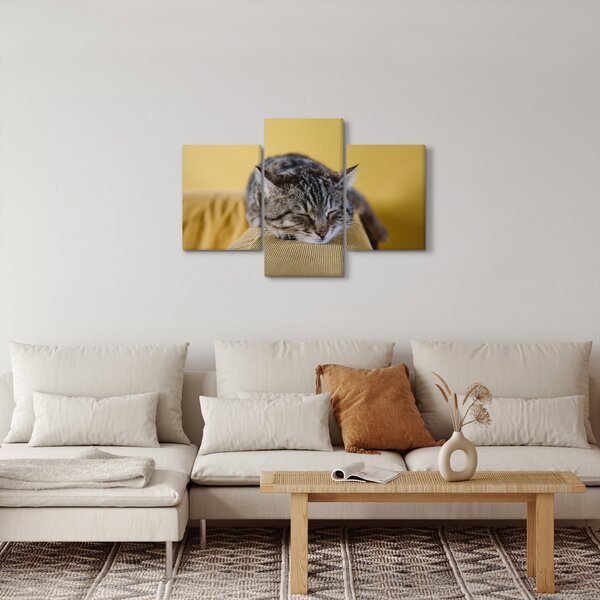 Macska a kanapén képe (90x60 cm)