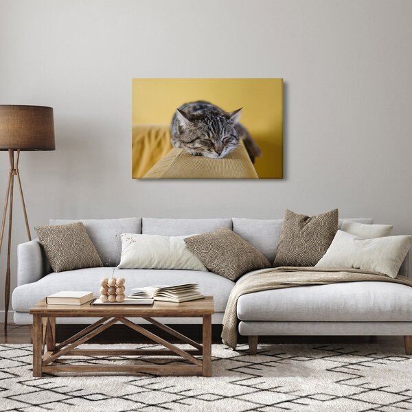 Macska a kanapén képe (90x60 cm)