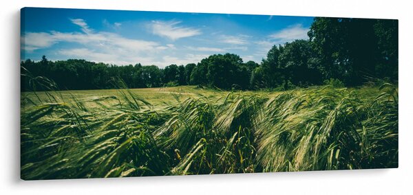 Rét és az erdő képe (120x50 cm)