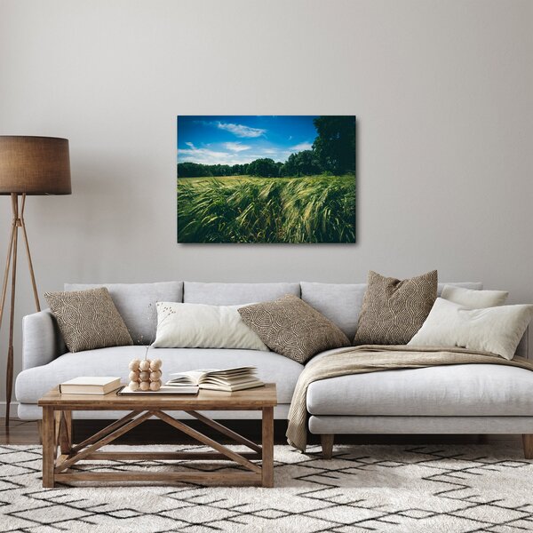 Rét és az erdő képe (70x50 cm)