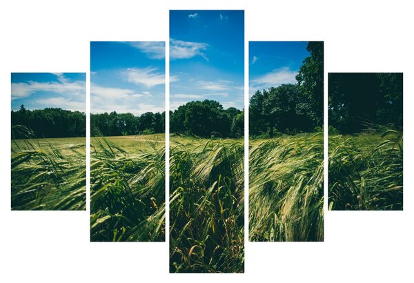 Rét és az erdő képe (150x105 cm)