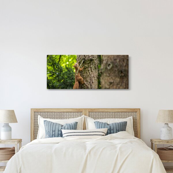 Kép - Mókus (120x50 cm)