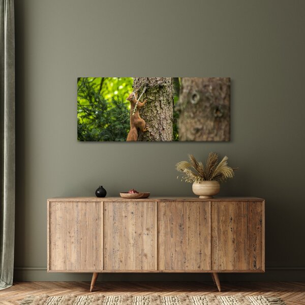 Kép - Mókus (120x50 cm)