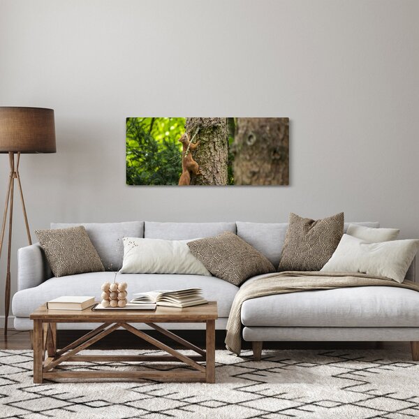 Kép - Mókus (120x50 cm)