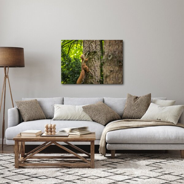 Kép - Mókus (70x50 cm)
