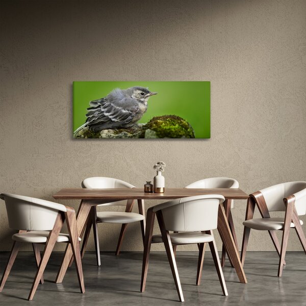 Kép - Légykapó (120x50 cm)