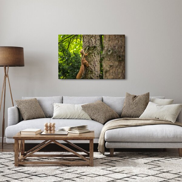 Kép - Mókus (90x60 cm)