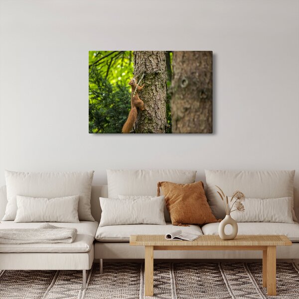 Kép - Mókus (90x60 cm)