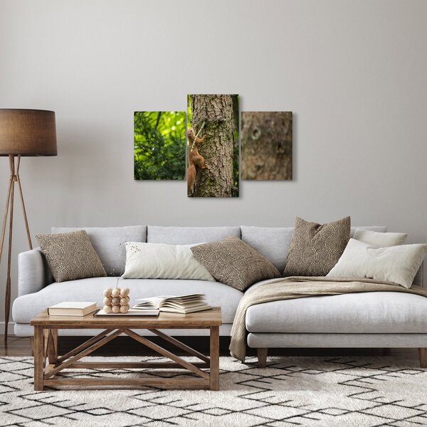 Kép - Mókus (90x60 cm)