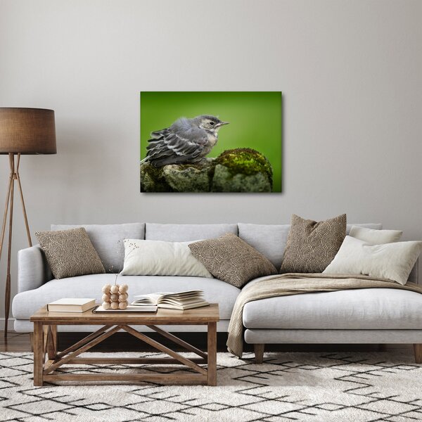 Kép - Légykapó (70x50 cm)