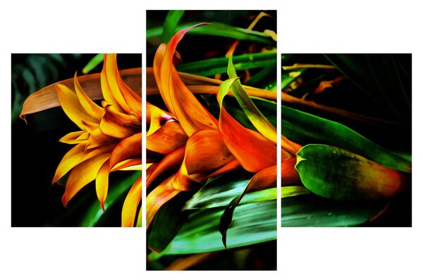 Narancssárga csokor képe (90x60 cm)