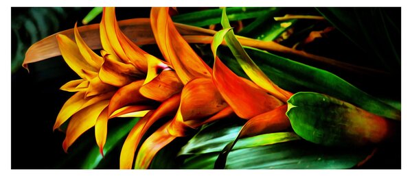 Narancssárga csokor képe (120x50 cm)