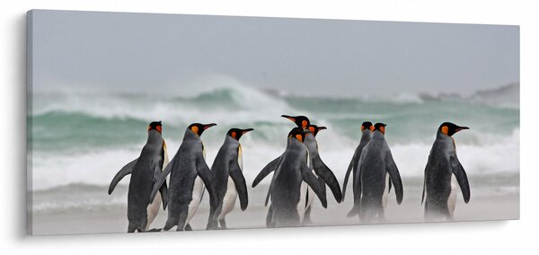 Pingvinek képe az óceán mellett (120x50 cm)