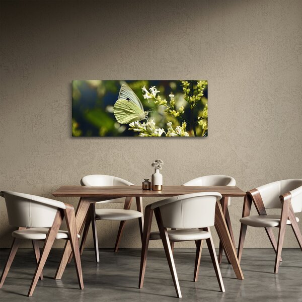 Pillangó képe (120x50 cm)