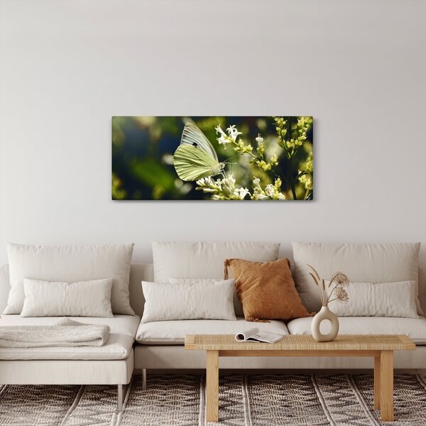 Pillangó képe (120x50 cm)