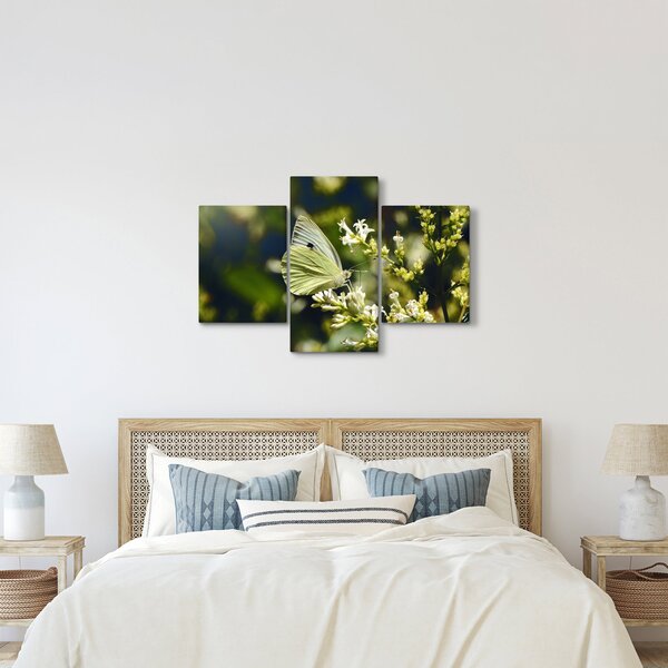 Pillangó képe (90x60 cm)