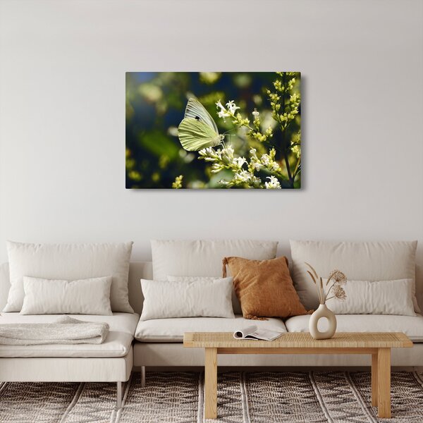 Pillangó képe (90x60 cm)