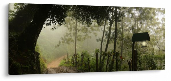 Reggeli köd képe (120x50 cm)