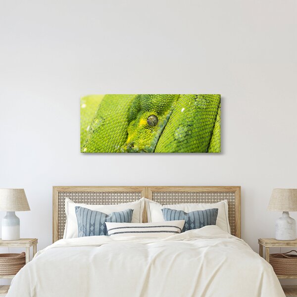 Kígyó képe (120x50 cm)