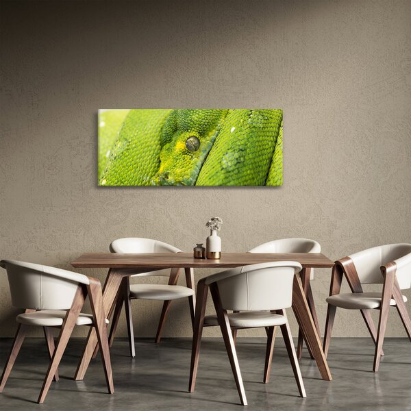 Kígyó képe (120x50 cm)