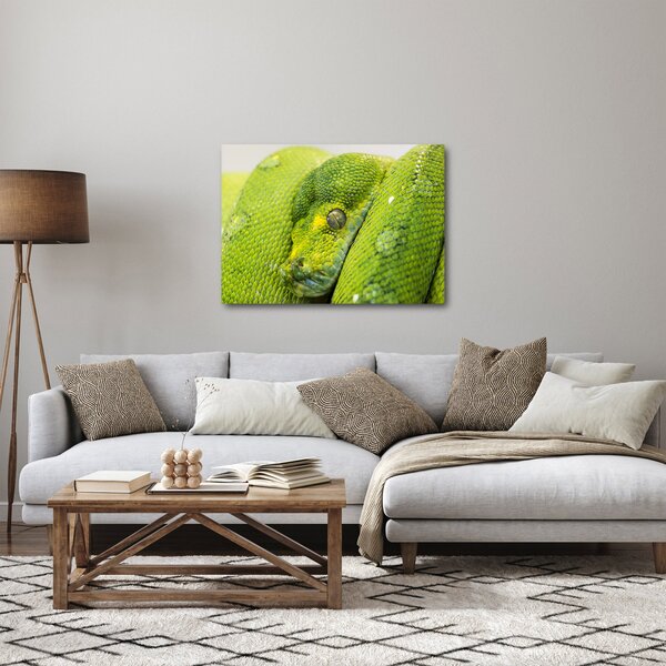 Kígyó képe (70x50 cm)