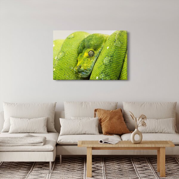 Kígyó képe (90x60 cm)