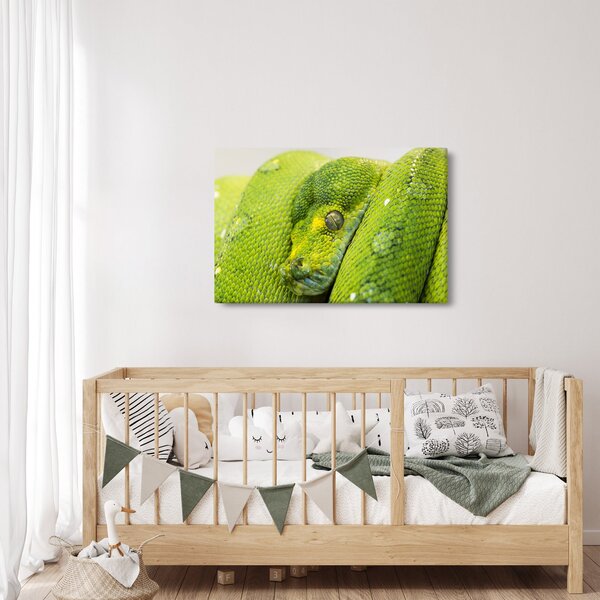 Kígyó képe (90x60 cm)