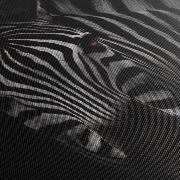 Zebra képe (90x60 cm)