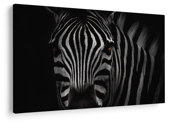 Zebra képe (90x60 cm)