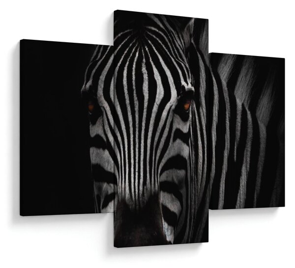Zebra képe (90x60 cm)