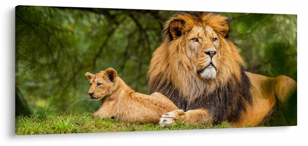 Oroszlánok képe (120x50 cm)